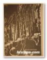 БЪЛГАРСКИ ПЕЩЕРИ-СБОРНИК МАТЕРИАЛИ, Ред. ПЕТЪР БЕРОН, София 1985 г.